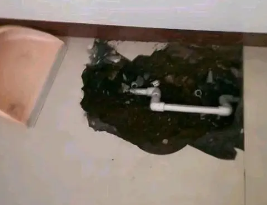宁国卫生间测漏水多少钱